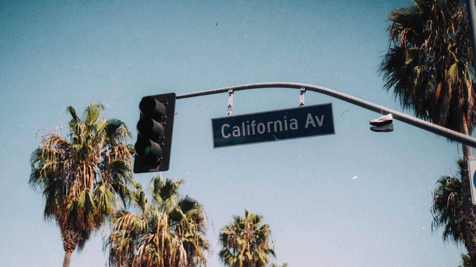 The Summer When AI Learned to Feel: What's Really Driving Social Media in 2025