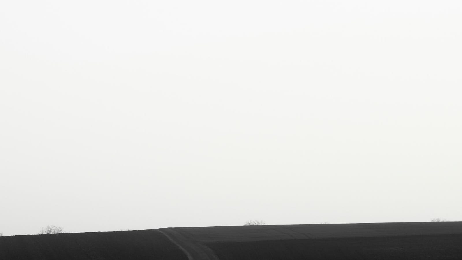 Brand Strategy & Consistency Systems for Hawaii Businesses