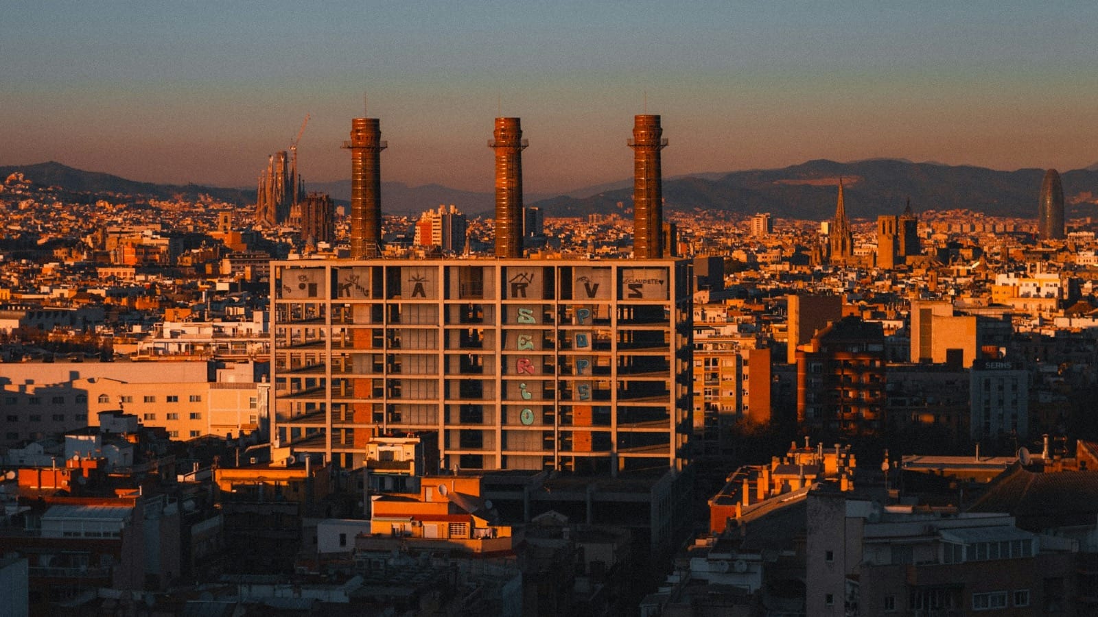 Market Research & Customer Insights in Hawaii