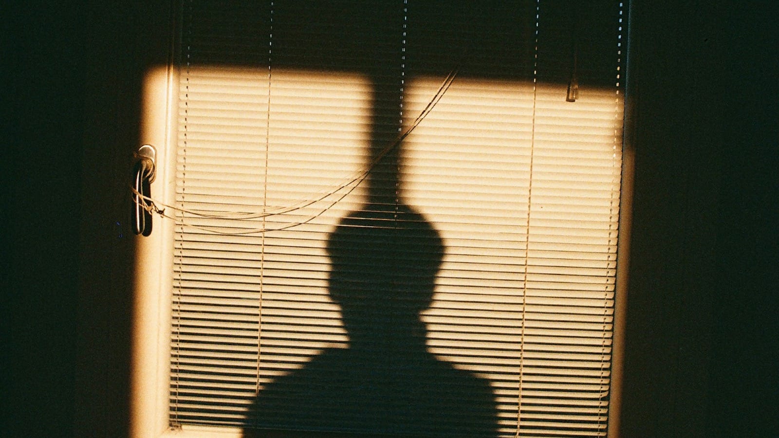 The Authenticity Advantage: What Social Media's New Favorite Word Really Reveals